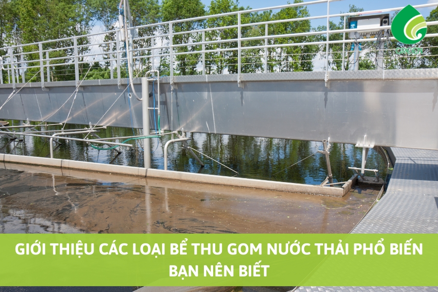 Giới Thiệu Các Loại Bể Thu Gom Nước Thải Phổ Biến Bạn Nên Biết