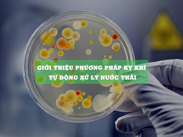 Giới Thiệu Phương Pháp Kỵ Khí Tự Động Xử Lý Nước Thải