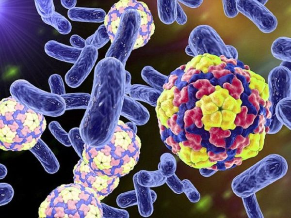 Giới Thiệu Phương Pháp Xử Lý Nước Thải Bằng Vi Sinh Vật