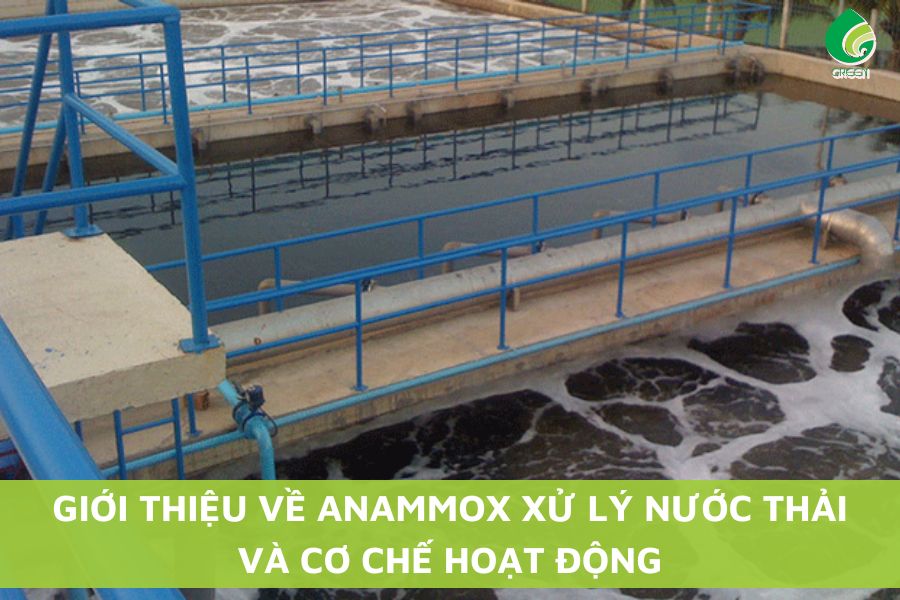 Giới Thiệu Về Anammox Xử Lý Nước Thải Và Cơ Chế Hoạt Động