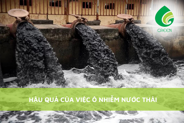 Hậu Quả Của Việc Ô Nhiễm Nước Thải