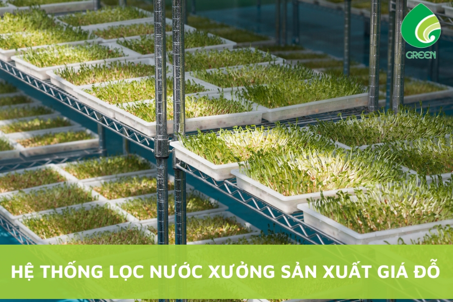 Hệ Thống Lọc Nước Xưởng Sản Xuất Giá Đỗ