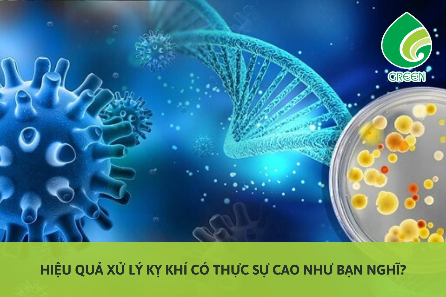 Hiệu Quả Xử Lý Kỵ Khí Có Thực Sự Cao Như Bạn Nghĩ?