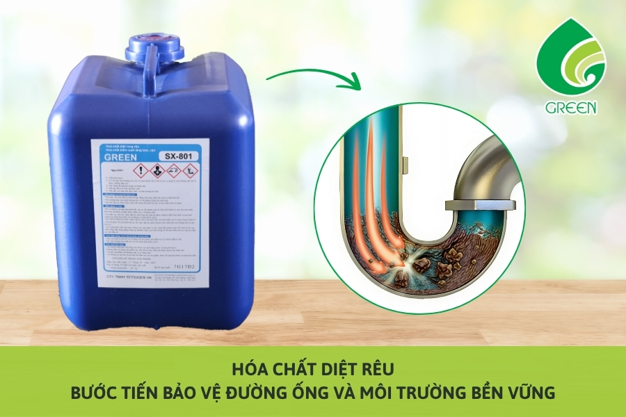 Hóa Chất Diệt Rêu – Bước Tiến Bảo Vệ Đường Ống Và Môi Trường Bền Vững