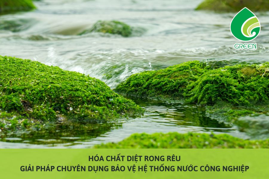 Hóa Chất Diệt Rong Rêu – Giải Pháp Chuyên Dụng Bảo Vệ Hệ Thống Nước Công Nghiệp
