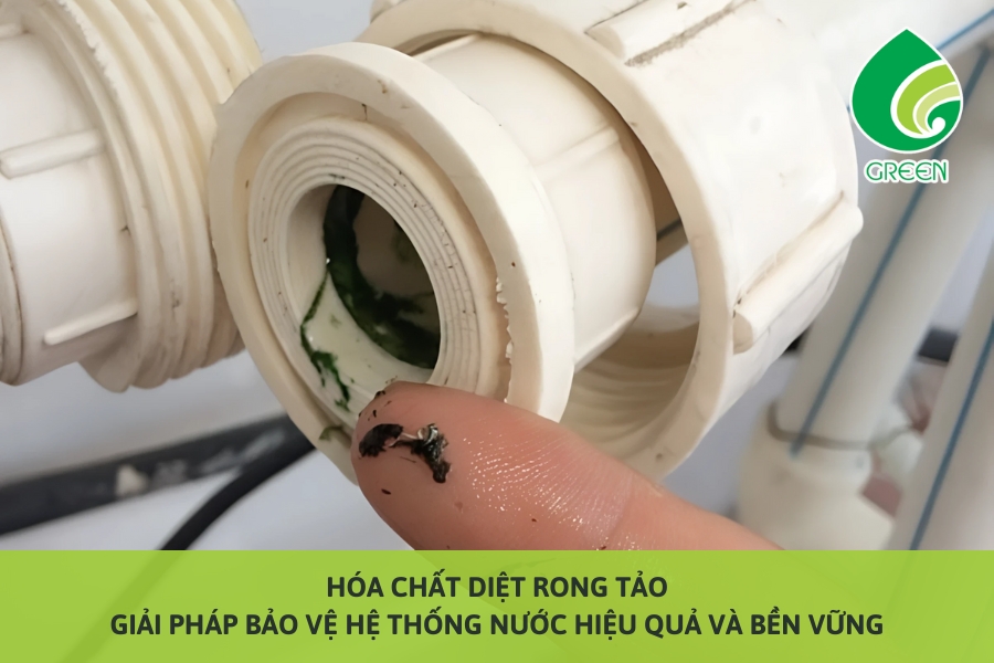Hóa Chất Diệt Rong Tảo – Giải Pháp Bảo Vệ Hệ Thống Nước Hiệu Quả Và Bền Vững