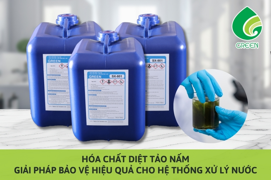 Hóa Chất Diệt Tảo Nấm – Giải Pháp Bảo Vệ Hiệu Quả Cho Hệ Thống Xử Lý Nước