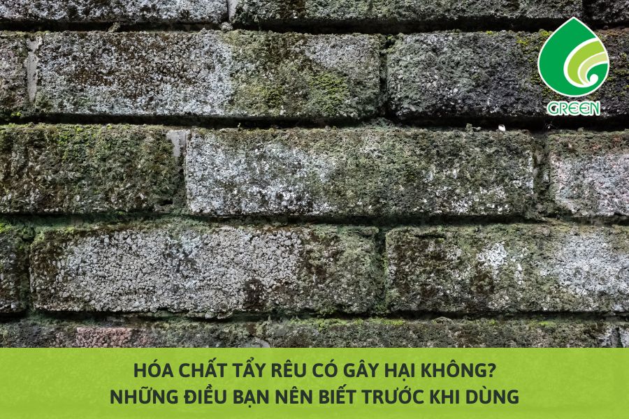 Hóa Chất Tẩy Rêu Có Gây Hại Không? Những Điều Bạn Nên Biết Trước Khi Dùng