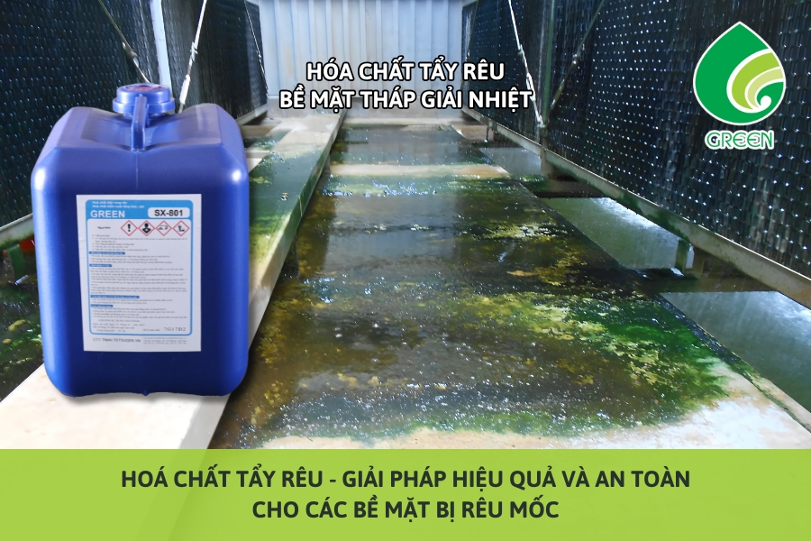 Hóa Chất Tẩy Rêu – Giải Pháp Hiệu Quả Và An Toàn Cho Các Bề Mặt Bị Rêu Mốc
