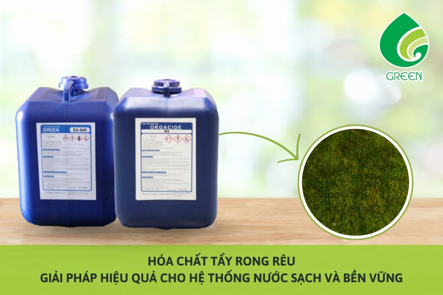 Hóa Chất Tẩy Rong Rêu – Giải Pháp Hiệu Quả Cho Hệ Thống Nước Sạch Và Bền Vững
