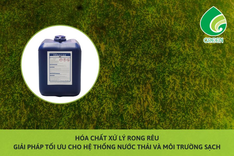 Hóa Chất Xử Lý Rong Rêu – Giải Pháp Tối Ưu Cho Hệ Thống Nước Thải Và Môi Trường Sạch