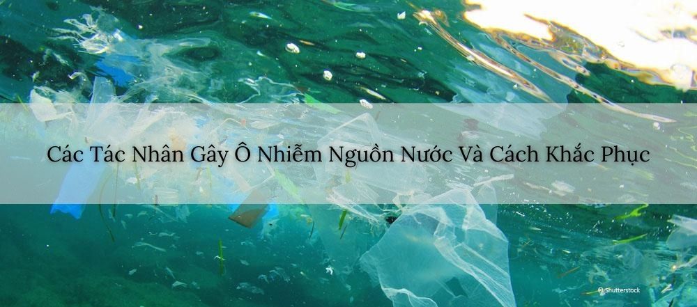 Các Tác Nhân Gây Ô Nhiễm Nguồn Nước Và Cách Khắc Phục