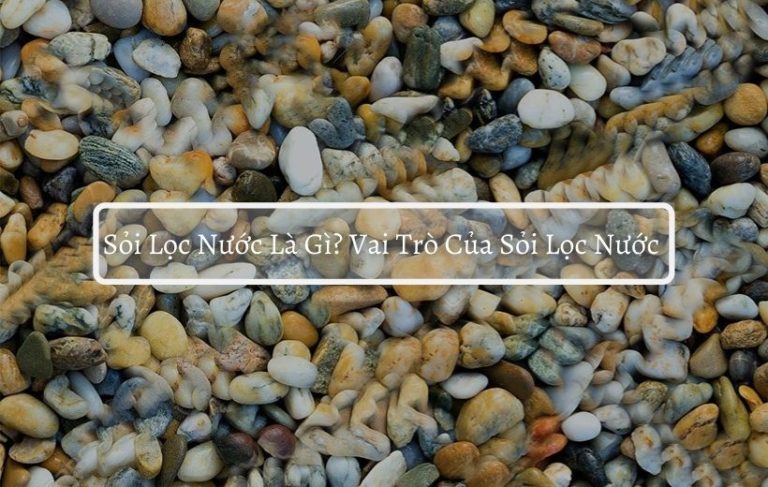 Sỏi Lọc Nước Là Gì? Vai Trò Của Sỏi Lọc Nước