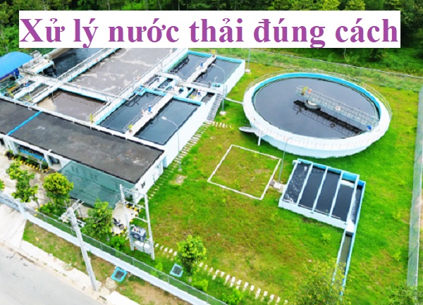 Chuyên Gia Mách Bạn 5 Bước Xử Lý Nước Thải Đúng Cách