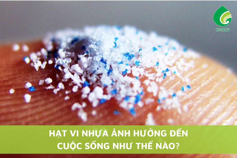 Hạt Vi Nhựa Ảnh Hưởng Đến Cuộc Sống Như Thế Nào?