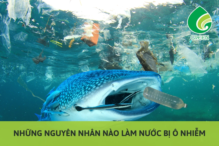 Những Nguyên Nhân Nào Làm Nước Bị Ô Nhiễm