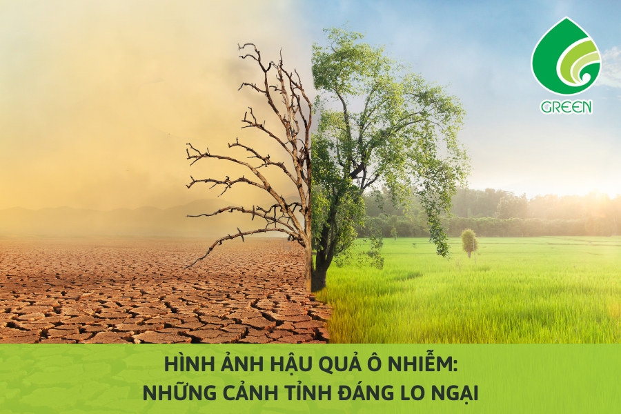 Hình Ảnh Hậu Quả Ô Nhiễm: Những Cảnh Tỉnh Đáng Lo Ngại