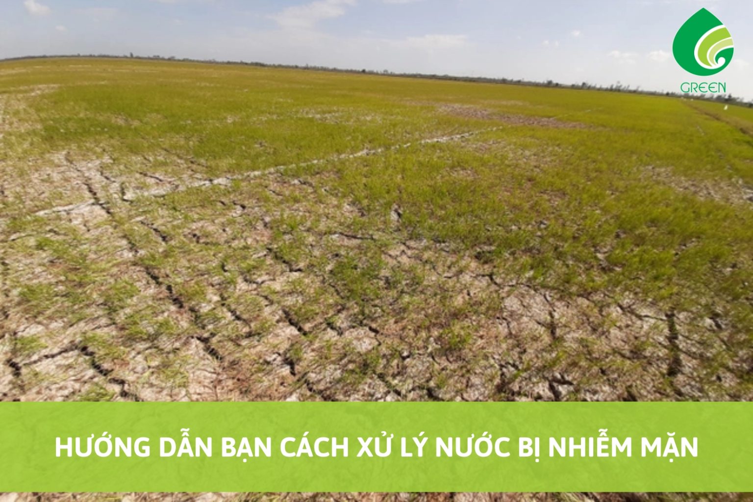 Hướng Dẫn Bạn Cách Xử Lý Nước Bị Nhiễm Mặn
