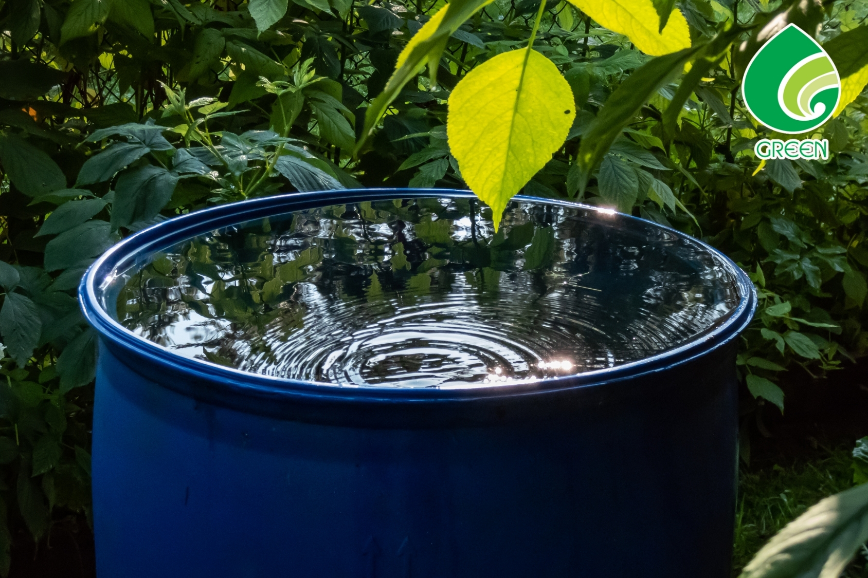 10 Cách Quản Lý Và Bảo Vệ Tài Nguyên Nước Mỗi Người Nên Biết