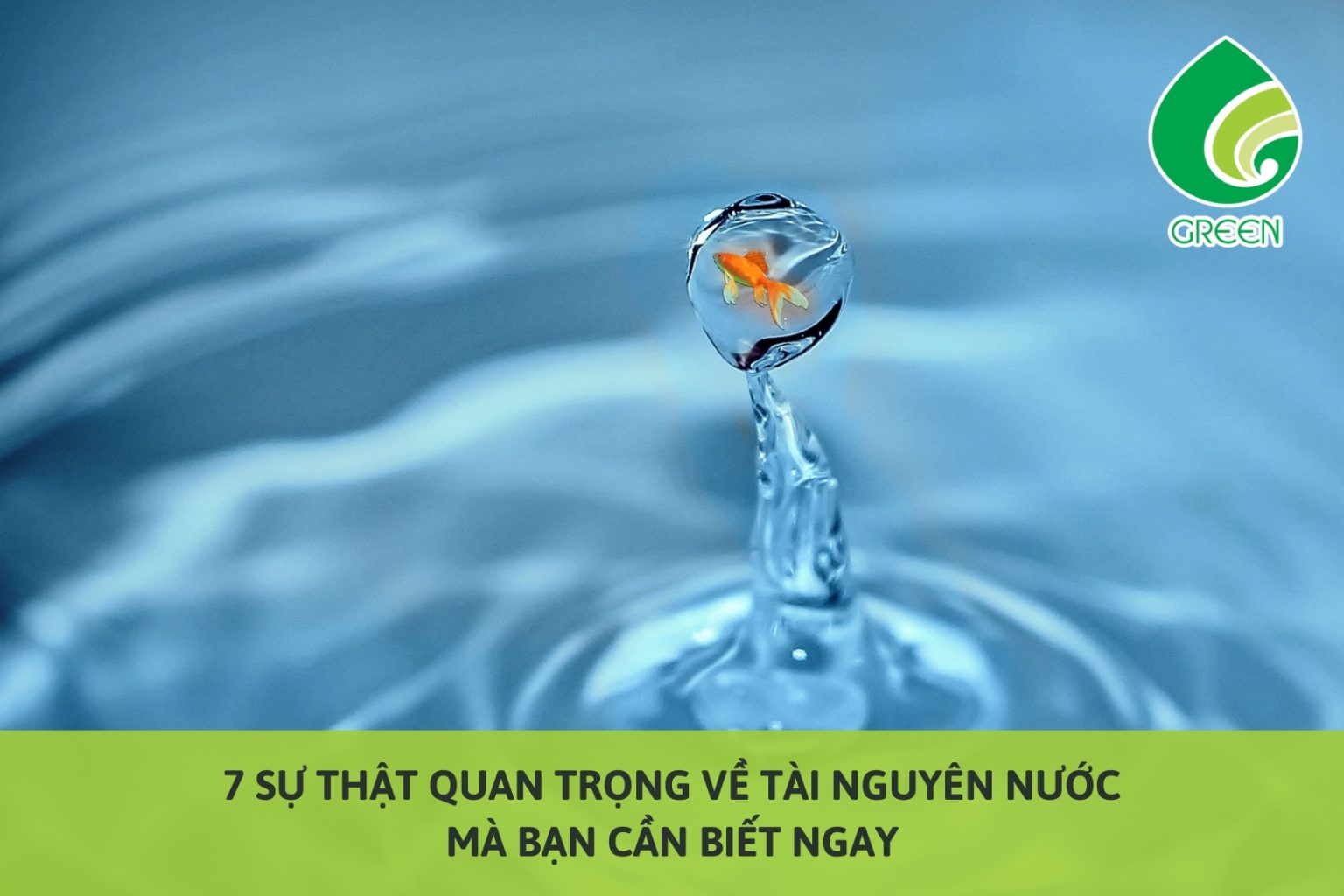 7 Sự Thật Quan Trọng Về Tài Nguyên Nước Mà Bạn Cần Biết Ngay