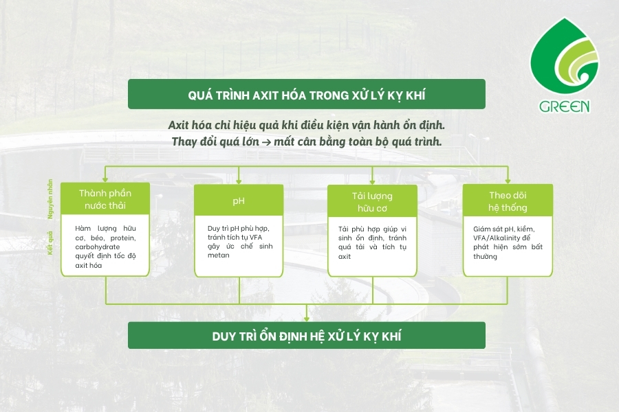 Axit Hóa Trong Xử Lý Kỵ Khí Có Vai Trò Gì Trong Quá Trình Xử Lý Nước Thải