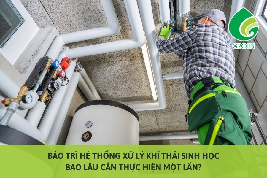 Bảo Trì Hệ Thống Xử Lý Khí Thải Sinh Học: Bao Lâu Cần Thực Hiện Một Lần?