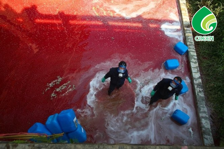 Bí Quyết Vận Hành Bể Khử Màu Nước Thải Chuẩn Kỹ Thuật