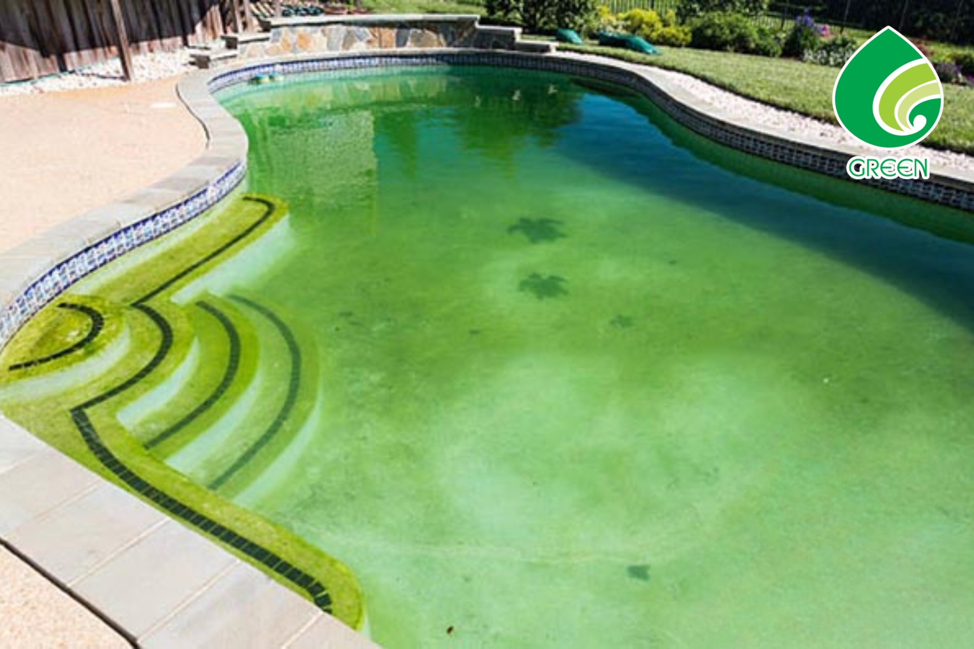 Cách Sử Dụng Hóa Chất Diệt Rong Rêu Đúng Để Tiết Kiệm Chi Phí Tối Đa