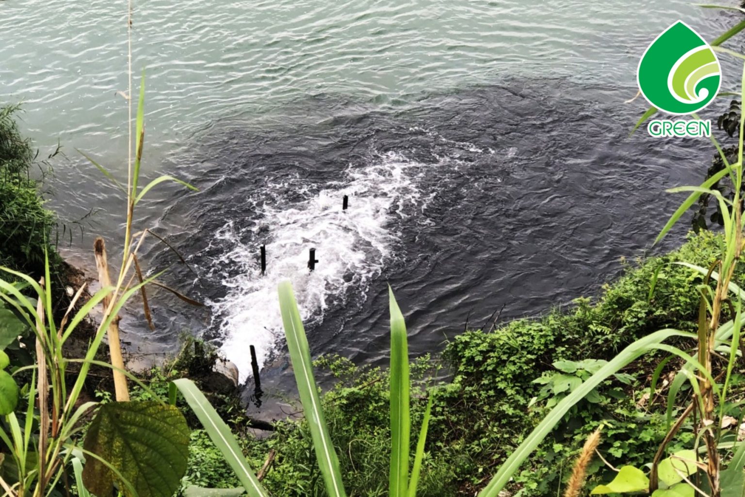 Cái Giá Phải Trả Khi Xử Lý Nước Thải Màu Đen Không Đúng Cách