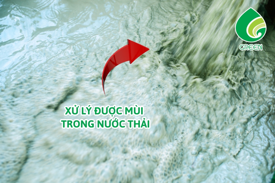 Công Nghệ Biotrickling Trong Xử Lý Khí Thải Hoạt Động Như Thế Nào?