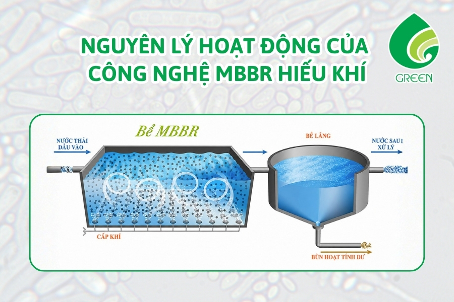 Bể MBBR Hiếu Khí Có Gì Khác So Với Aerotank Truyền Thống?