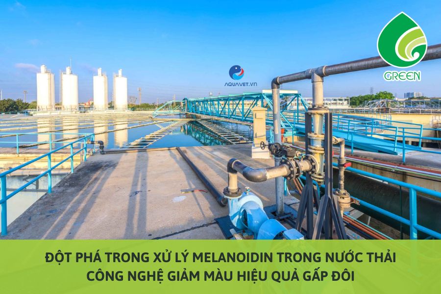 Đột Phá Trong Xử Lý Melanoidin Trong Nước Thải – Công Nghệ Giảm Màu Hiệu Quả Gấp Đôi