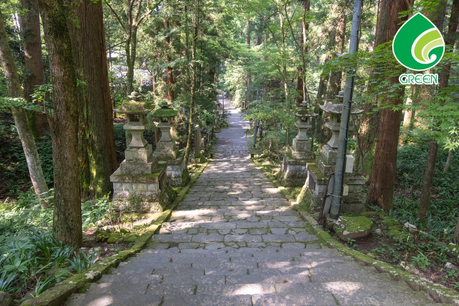 Giải Pháp Bảo Vệ Môi Trường Nhật Bản – Học Hỏi Từ Xứ Sở Mặt Trời Mọc