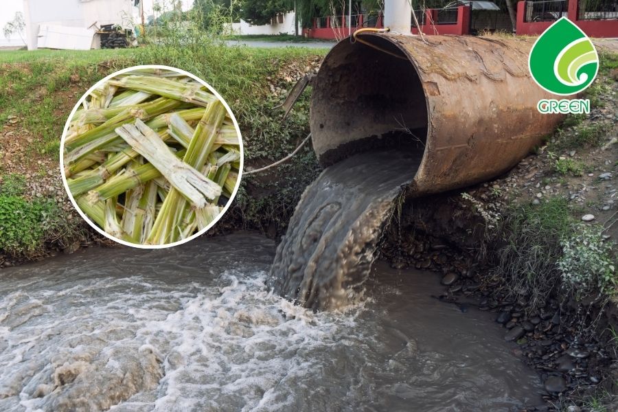 Giải Pháp Xử Lý Nước Thải Mía Đường Có Màu Hiệu Quả