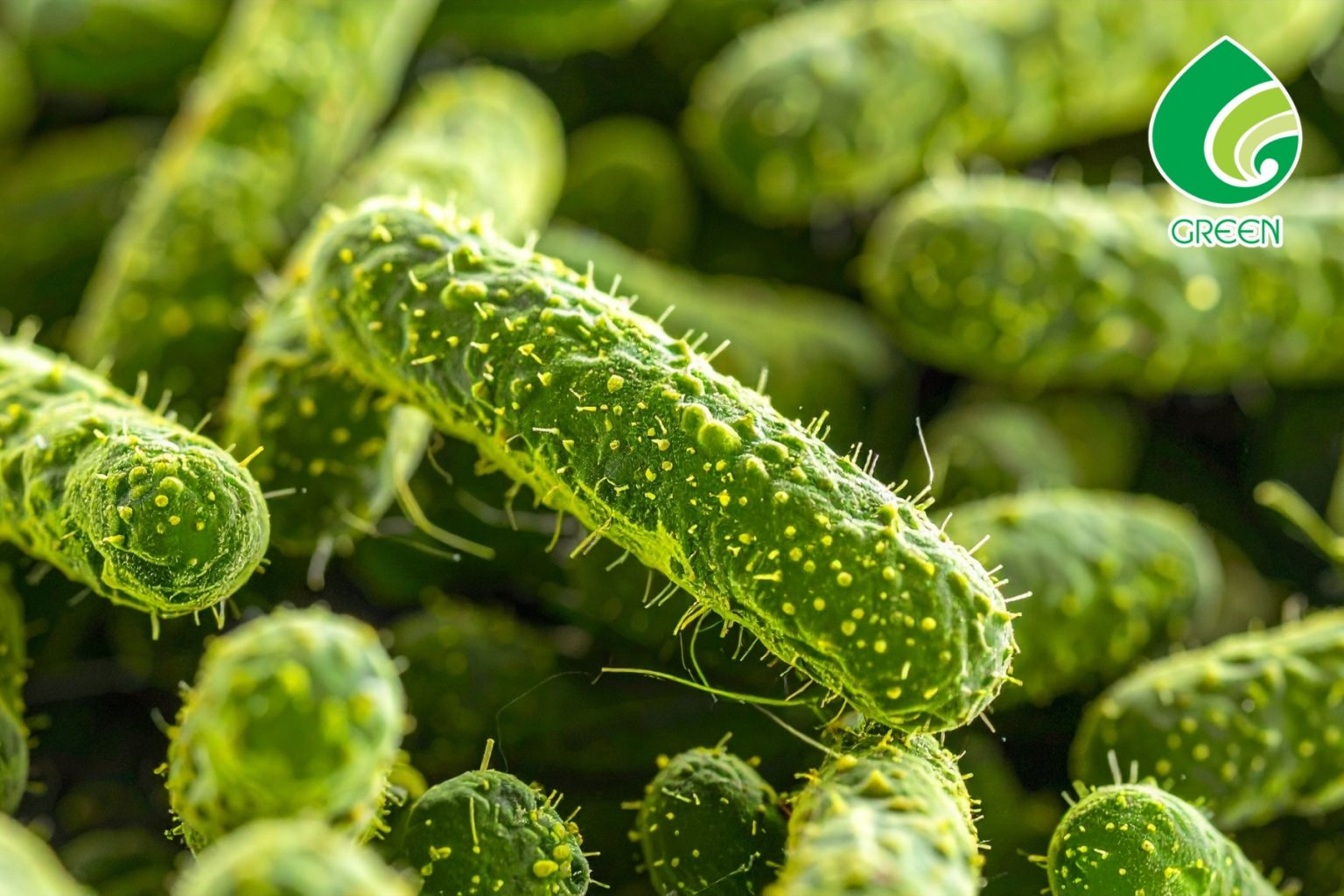 Hóa Chất Diệt Vi Sinh Không Tạo Bọt: Giải Pháp Hoàn Hảo Cho Quy Trình Xử Lý Nước Thải