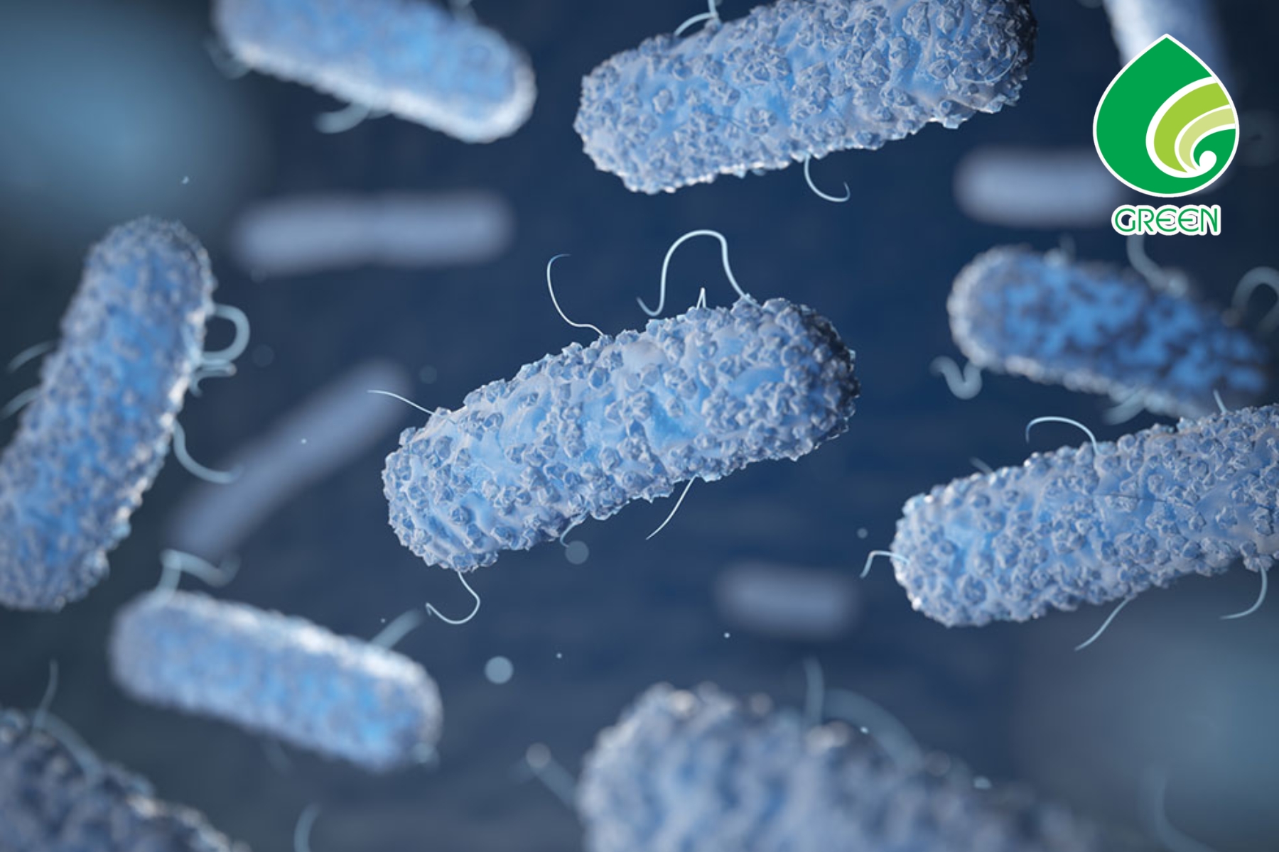 Hướng Dẫn Sử Dụng Oxidizing Biocide An Toàn