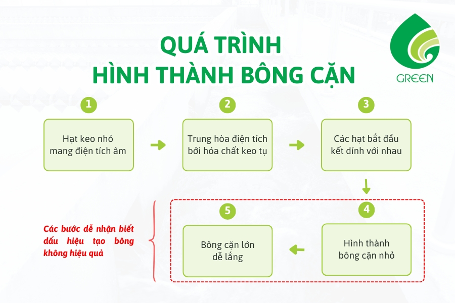 Keo Tụ Tạo Bông Trong Xử Lý Nước Cấp: Liệu Có Cần Thiết?