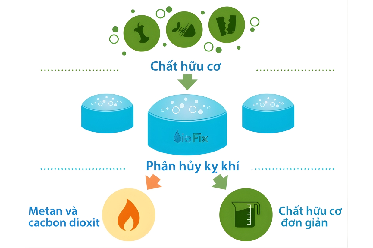 Kết Hợp Hiếu Khí Kỵ Khí Và Những Sai Lầm Thường Gặp Khi Vận Hành