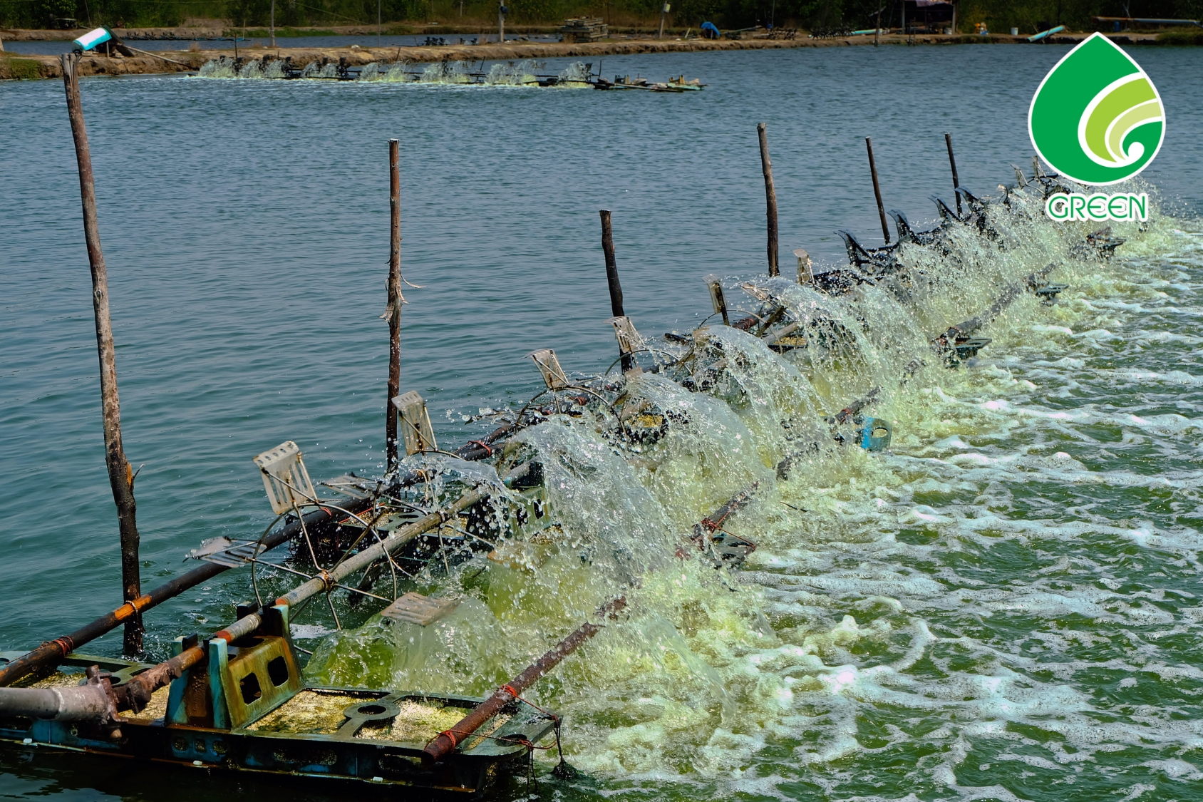 Khi Nào Cần Xử Lý Nước Ao Tôm? 90% Người Nuôi Phát Hiện Quá Muộn