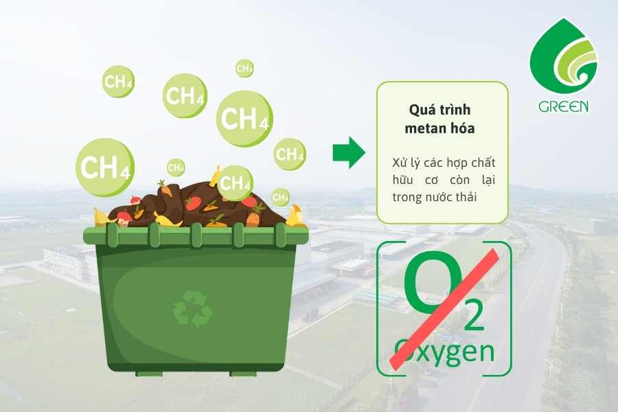 Metan Hóa Trong Xử Lý Kỵ Khí Quyết Định Hiệu Quả Xử Lý Nước Thải Như Thế Nào?