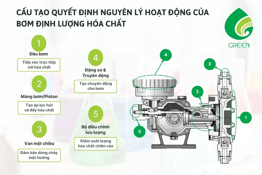 Nguyên Lý Hoạt Động Của Bơm Định Lượng Hóa Chất: Cẩm Nang Doanh Nghiệp Từ A-Z