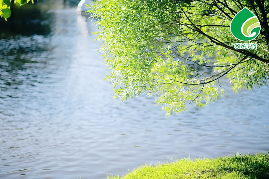 Những Sai Lầm Khi Muốn Giữ Môi Trường Xanh Sạch Đẹp Mà Ai Cũng Mắc