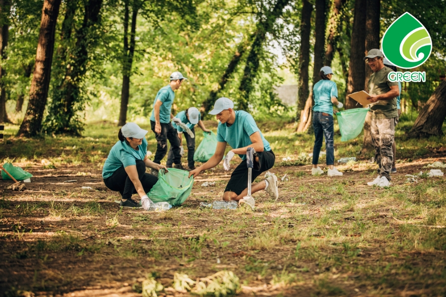 Những Sai Lầm Khi Muốn Giữ Môi Trường Xanh Sạch Đẹp Mà Ai Cũng Mắc