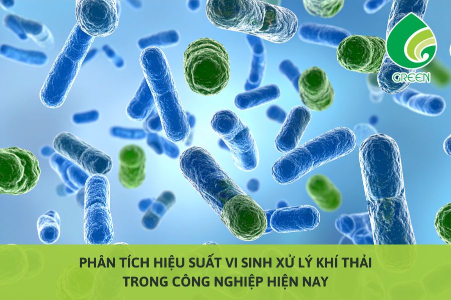 Phân Tích Hiệu Suất Vi Sinh Xử Lý Khí Thải Trong Công Nghiệp Hiện Nay
