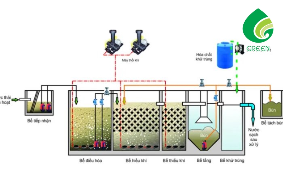 So Sánh Các Mô Hình Động Học Xử Lý Hiếu Khí Chi Tiết Nhất