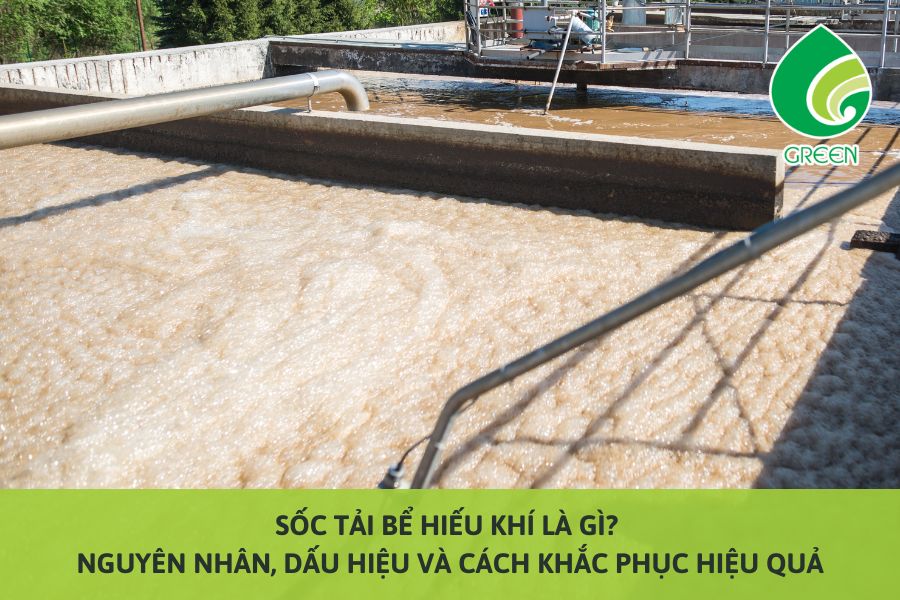 Sốc Tải Bể Hiếu Khí Là Gì? Nguyên Nhân, Dấu Hiệu Và Cách Khắc Phục Hiệu Quả