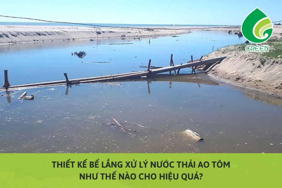 Thiết Kế Bể Lắng Xử Lý Nước Thải Ao Tôm Như Thế Nào Cho Hiệu Quả?
