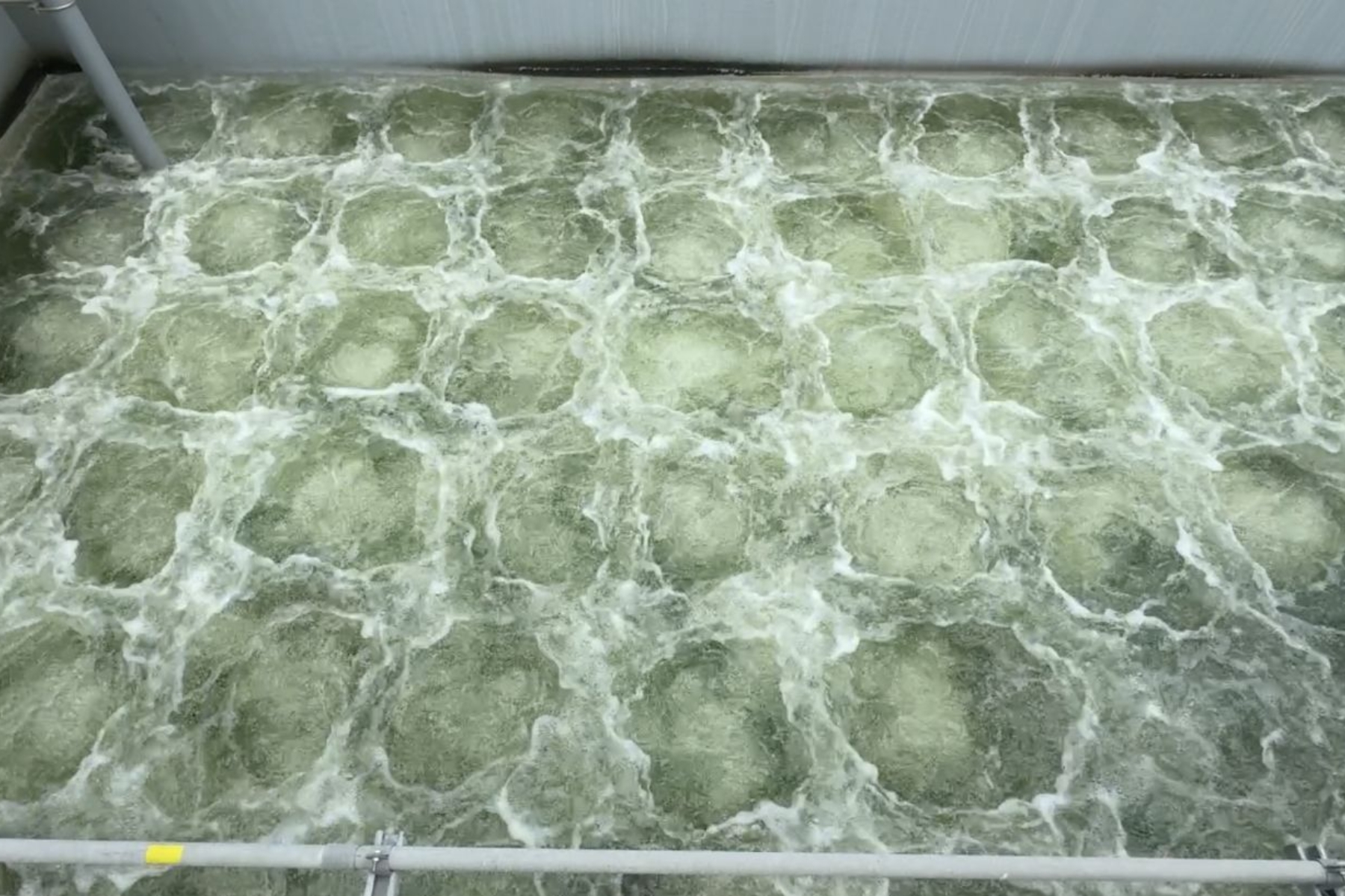 Tối Ưu Hiệu Quả Xử Lý Hiếu Khí: Công Nghệ Mới Hay Chiêu Thức Cũ?