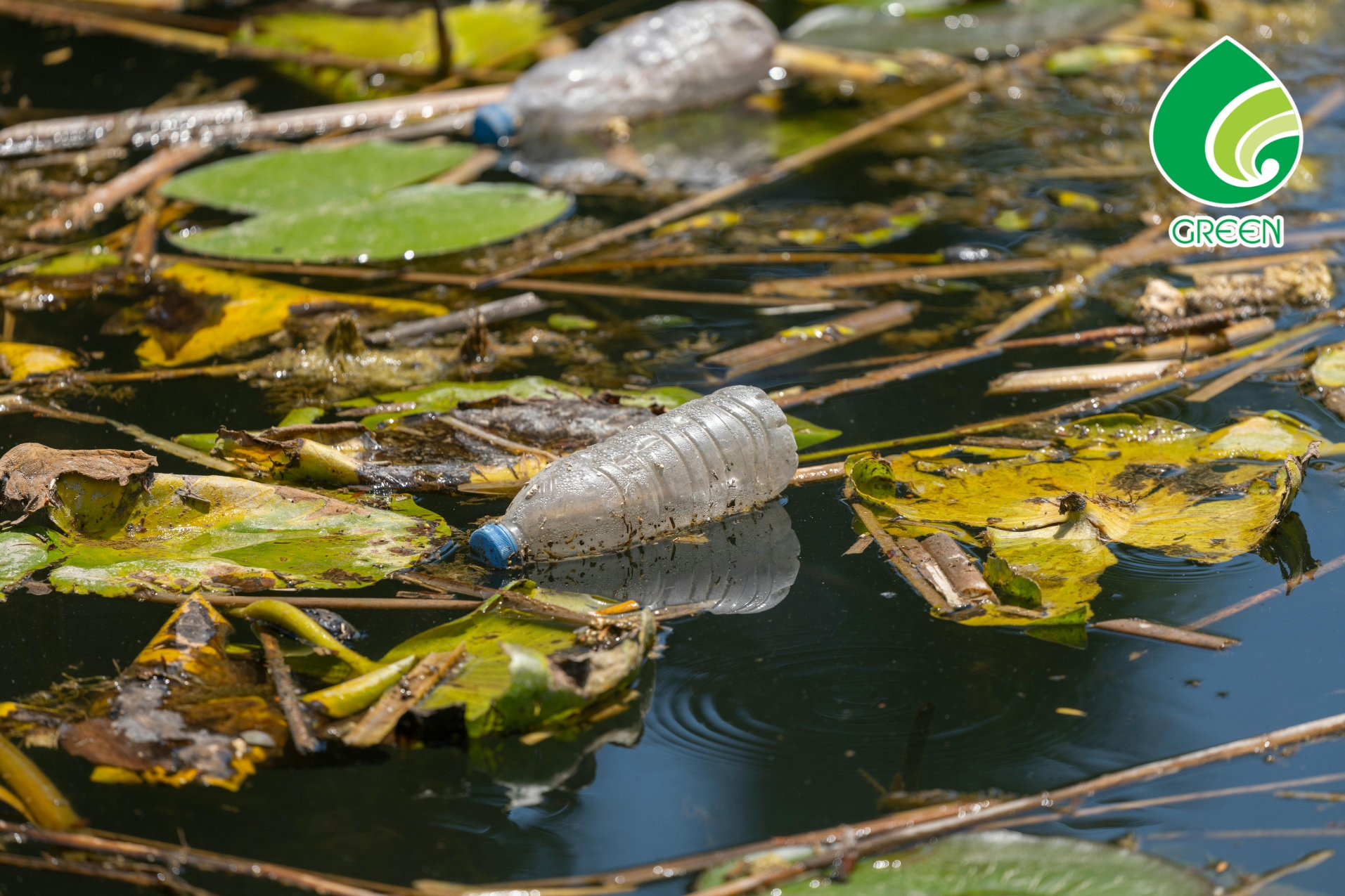 Vì Sao Xử Lý Ô Nhiễm Môi Trường Nước Là Vấn Đề Sống Còn Hiện Nay?