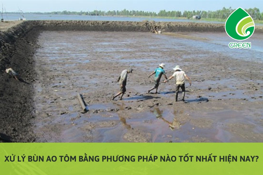 Xử Lý Bùn Ao Tôm Bằng Phương Pháp Nào Tốt Nhất Hiện Nay?